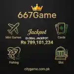 667pak Game