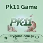 Pk11 Game